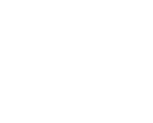 الفصل الثالث